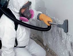 Mold Odor Removal Services in Goodwater, AL